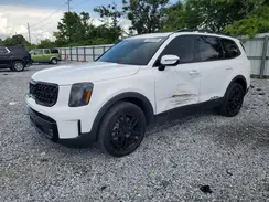 5XYP5DGC4SG620306 2025 KIA TELLURIDE