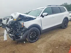 5XYP5DGC4SG637820 2025 KIA TELLURIDE