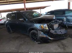 5XYP5DGC4SG639311 2025 KIA TELLURIDE