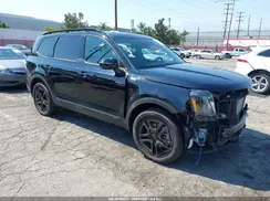 5XYP5DGC4SG639387 2025 KIA TELLURIDE