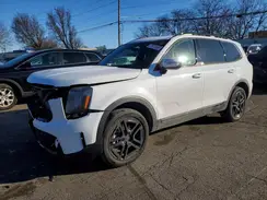 5XYP5DGC4SG640037 2025 KIA TELLURIDE