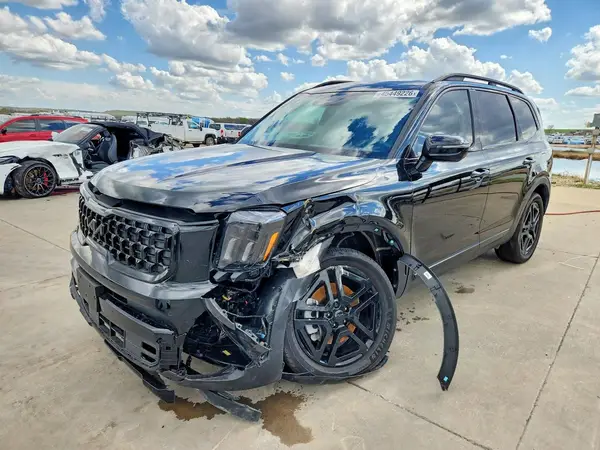5XYP5DGC4SG654777 2025 KIA TELLURIDE - Image 1