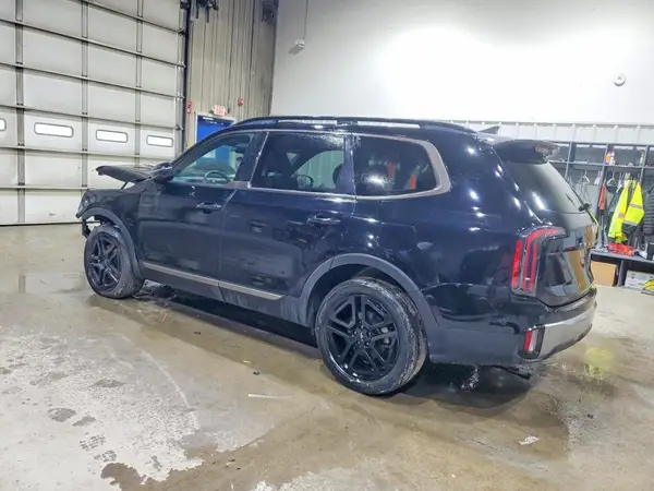 5XYP5DGC5PG336884 2023 KIA TELLURIDE - Image 2