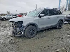 5XYP5DGC5PG396339 2023 KIA TELLURIDE