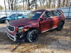 5XYP5DGC5PG399807 2023 KIA TELLURIDE