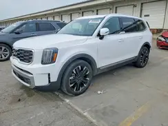 5XYP5DGC5RG413210 2024 KIA TELLURIDE