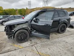 5XYP5DGC5RG413269 2024 KIA TELLURIDE
