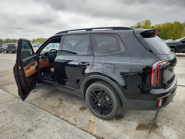 5XYP5DGC5RG413269 2024 KIA TELLURIDE - Image 2