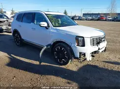 5XYP5DGC5RG417032 2024 KIA TELLURIDE