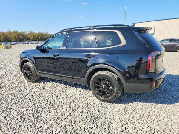 5XYP5DGC5RG442982 2024 KIA TELLURIDE - Image 2