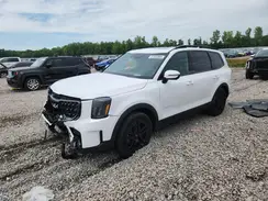 5XYP5DGC5RG452721 2024 KIA TELLURIDE