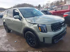5XYP5DGC5RG454369 2024 KIA TELLURIDE