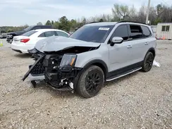 5XYP5DGC5RG454937 2024 KIA TELLURIDE
