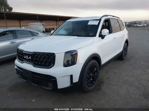 5XYP5DGC5RG481698 2024 KIA TELLURIDE - Image 2