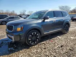 5XYP5DGC5RG486691 2024 KIA TELLURIDE