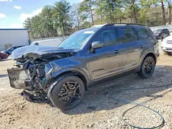 5XYP5DGC5RG499392 2024 KIA TELLURIDE