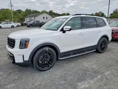 5XYP5DGC5RG507023 2024 KIA TELLURIDE
