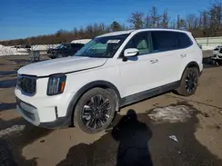 5XYP5DGC5RG521908 2024 KIA TELLURIDE