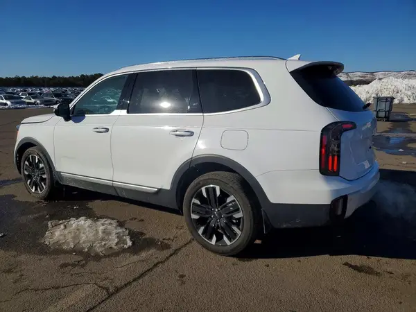 5XYP5DGC5RG521908 2024 KIA TELLURIDE - Image 2