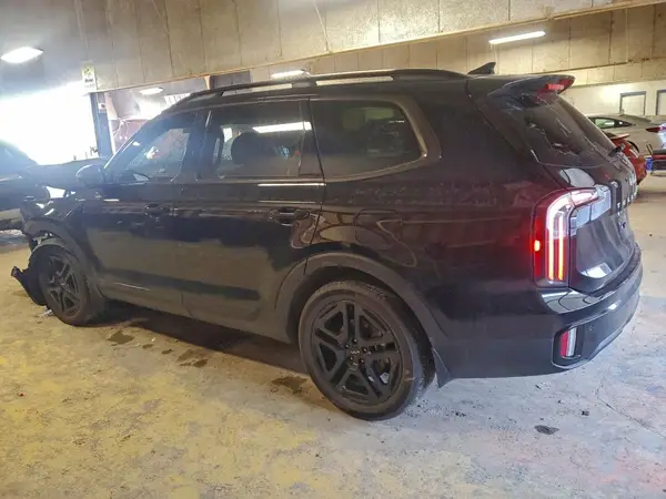 5XYP5DGC5RG525862 2024 KIA TELLURIDE - Image 2