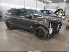 5XYP5DGC5RG562300 2024 KIA TELLURIDE