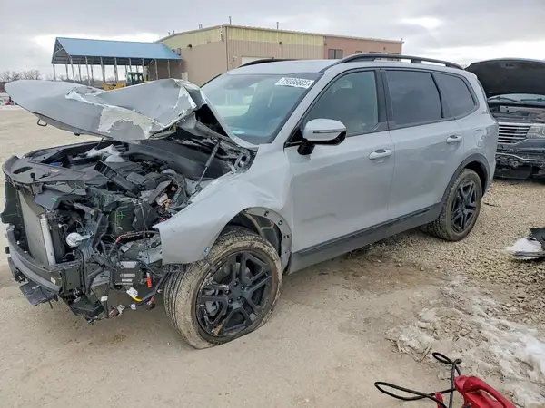 5XYP5DGC5SG609685 2025 KIA TELLURIDE - Image 1