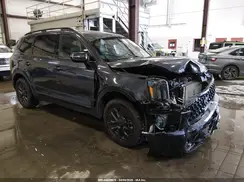 5XYP5DGC5SG649099 2025 KIA TELLURIDE