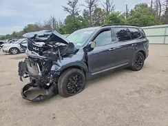 5XYP5DGC6PG339583 2023 KIA TELLURIDE