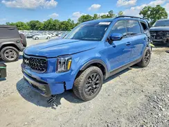 5XYP5DGC6PG344976 2023 KIA TELLURIDE