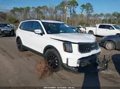 5XYP5DGC6PG351443 2023 KIA TELLURIDE