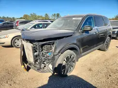 5XYP5DGC6PG369411 2023 KIA TELLURIDE