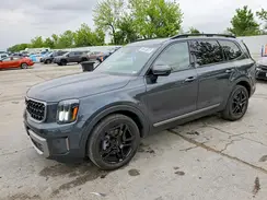 5XYP5DGC6PG382112 2023 KIA TELLURIDE