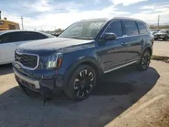 5XYP5DGC6PG389755 2023 KIA TELLURIDE