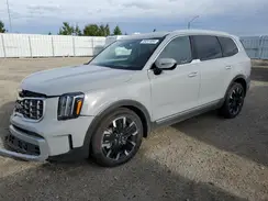 5XYP5DGC6RG417296 2024 KIA TELLURIDE