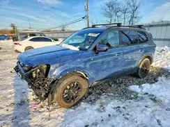 5XYP5DGC6RG440447 2024 KIA TELLURIDE