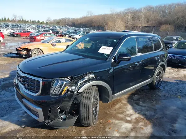 5XYP5DGC6RG450718 2024 KIA TELLURIDE - Image 2