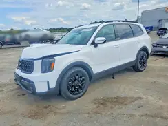 5XYP5DGC6RG461525 2024 KIA TELLURIDE