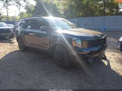5XYP5DGC6RG483816 2024 KIA TELLURIDE