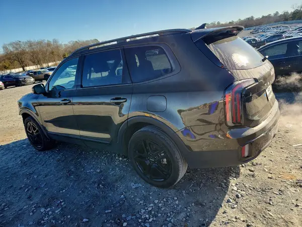 5XYP5DGC6RG490569 2024 KIA TELLURIDE - Image 2