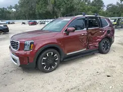 5XYP5DGC6RG493147 2024 KIA TELLURIDE