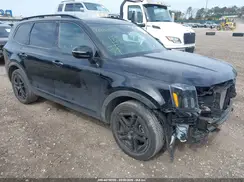 5XYP5DGC6RG494895 2024 KIA TELLURIDE