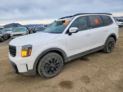 5XYP5DGC6RG502915 2024 KIA TELLURIDE
