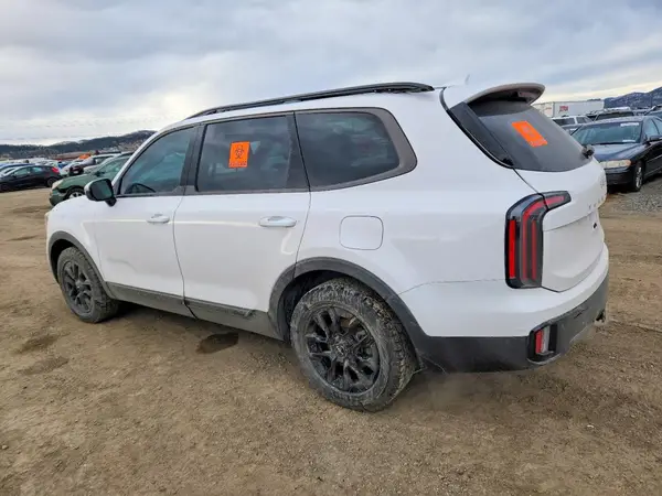5XYP5DGC6RG502915 2024 KIA TELLURIDE - Image 2