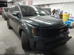 5XYP5DGC6RG532321 2024 KIA TELLURIDE