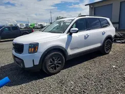 5XYP5DGC6RG533078 2024 KIA TELLURIDE