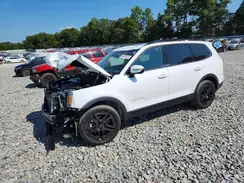 5XYP5DGC6RG534649 2024 KIA TELLURIDE