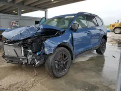 5XYP5DGC6RG544498 2024 KIA TELLURIDE