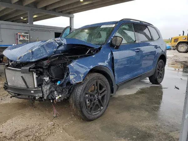 5XYP5DGC6RG544498 2024 KIA TELLURIDE - Image 1