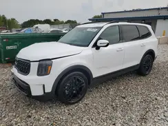 5XYP5DGC6RG549023 2024 KIA TELLURIDE