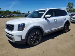 5XYP5DGC6RG551211 2024 KIA TELLURIDE